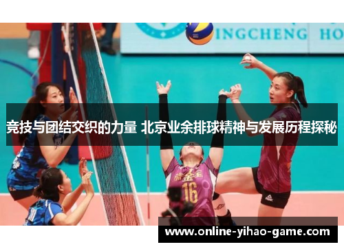 竞技与团结交织的力量 北京业余排球精神与发展历程探秘