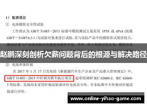 赵鹏深刻剖析欠薪问题背后的根源与解决路径 赵鹏深刻剖析欠薪问题背后的根源与解决路径